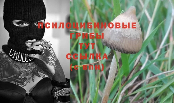 гидропоника Балабаново