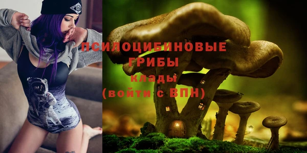 мдпв Балахна