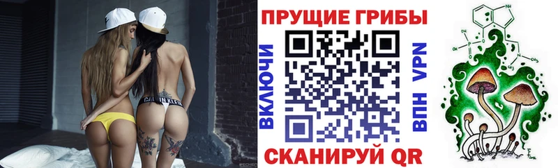 Купить  Губкин  Псилоцибиновые грибы мухоморы 